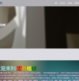 温州宏胜植绒有限公司