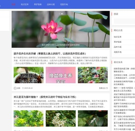 花韵之窗