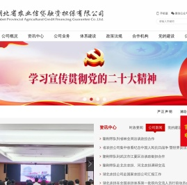 湖北省农业信贷融资担保有限公司