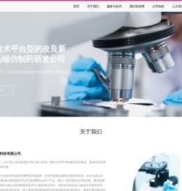 上海智同医药科技有限公司