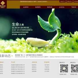 美丽魔方[BMC]