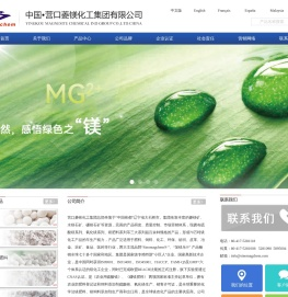 营口菱镁化工集团