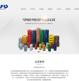 大连泰维精密模具股份有限公司