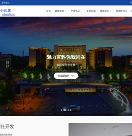 Zing主题演示站