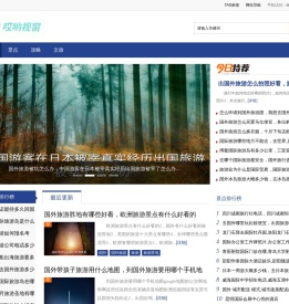 哎哟视窗