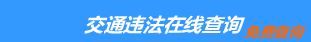 （手机版）肇庆交通违章查询