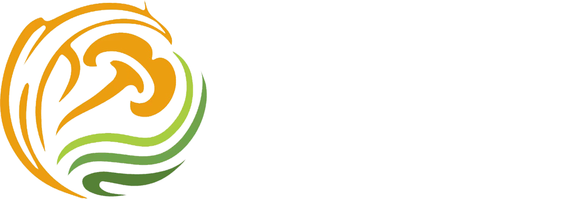 湖北楚芝润医药科技有限公司