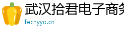 武汉拾君电子商务有限公司