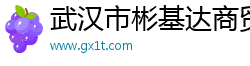 武汉市彬基达商贸有限公司
