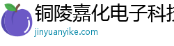 铜陵嘉化电子科技有限公司