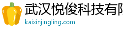 武汉悦俊科技有限公司