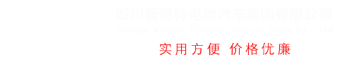 四川新奇特电动汽车集团有限公司