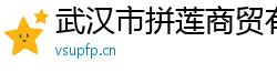 武汉市拼莲商贸有限公司