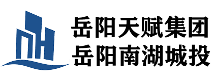 岳阳市天赋城市发展集团有限公司