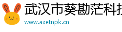 武汉市葵勘茫科技有限公司