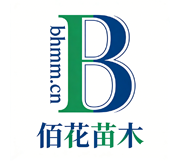 佰花苗木果树品种园无花果桃树猕猴桃繁育