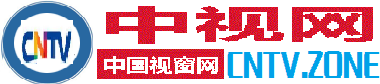 中视网