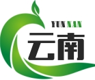 云南游戏网