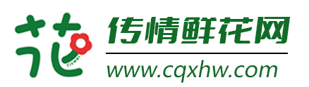 传情鲜花网