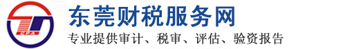 东莞税审报告
