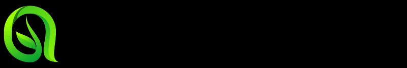 森梦国学文化知识网