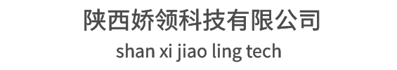 陕西娇领科技有限公司