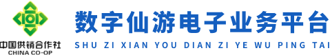 数字仙游电子业务平台