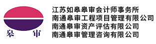 南通财务报表审计