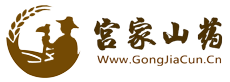 新城宫家细毛山药