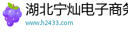湖北宁灿电子商务有限公司