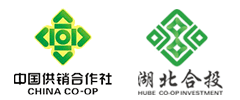 湖北合作投资集团有限公司