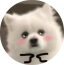 黑鲨导航页