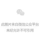 濮阳灭蟑螂,濮阳灭四害,濮阳灭鼠公司