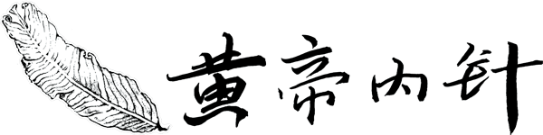 黄帝内针官网