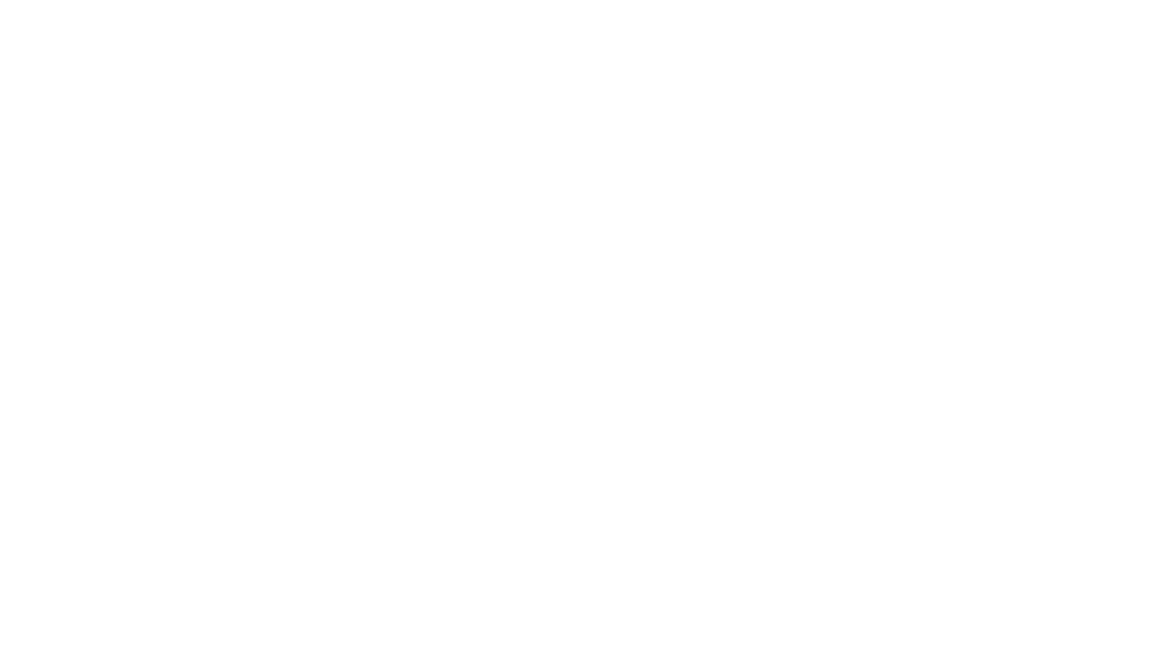 ILS中国