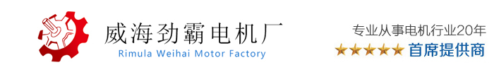威海劲霸电机厂