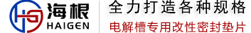 山东海根新能源材料有限公司