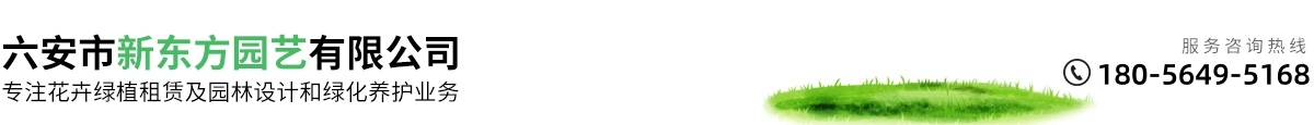 六安花卉园艺网