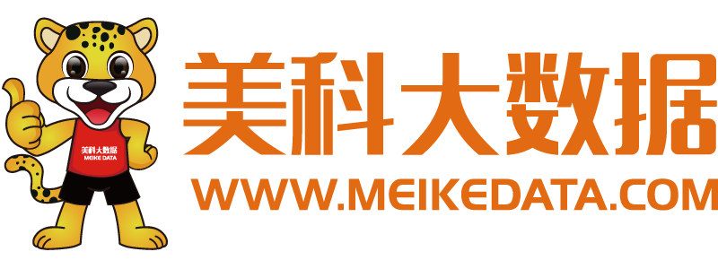 山东美科大数据服务有限公司
