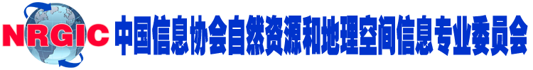 中国信息协会自然资源和地理空间信息专业委会员