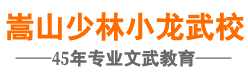 河南嵩山少林小龙武术学校「官网」