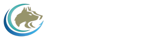 直流电机