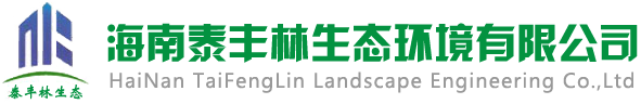 泰丰林集团
