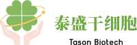 口腔干细胞