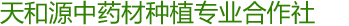 围场满族蒙古族自治县天和源中药材种植专业合作社金莲花