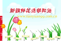 乌鲁木齐鲜花,乌鲁木齐花店,乌鲁木齐市区免费送花上门