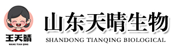 山东挂面生产厂家