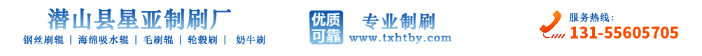 异形毛刷,毛刷辊,毛刷盘,毛刷带
