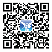 李维斯羽绒被/鹅绒被