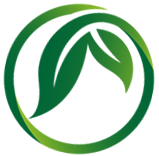 生活中的智慧wisdom